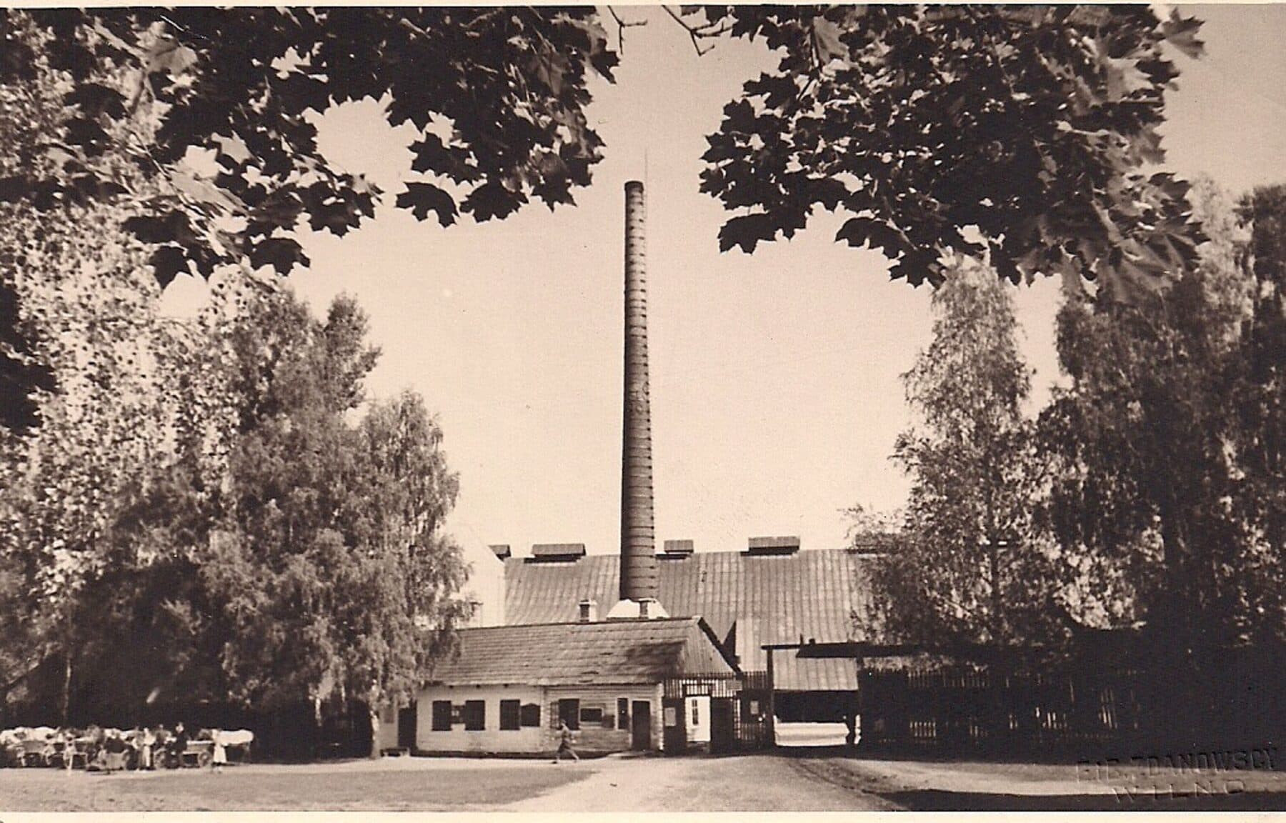 The Brzozówka (Berezovka) glassworks, general view
